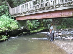 Doe River 28Jun09  41  - Randy casting